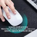 Captura de pantalla 2025-07-24 161116.webp